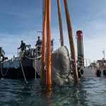 موزه زیر دریایی cannes با شش مجسمه عظیم الجثه
